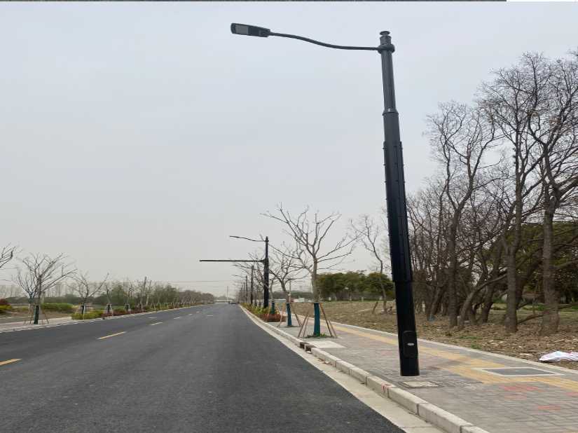 酉阳土家族苗族自治县上海综合杆 太阳能路灯工程